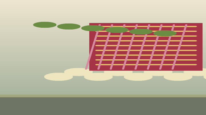 Mulberry leaves, silk cocoons, reeled thread, dyed silk, and a small loom arranged for sericulture craft
